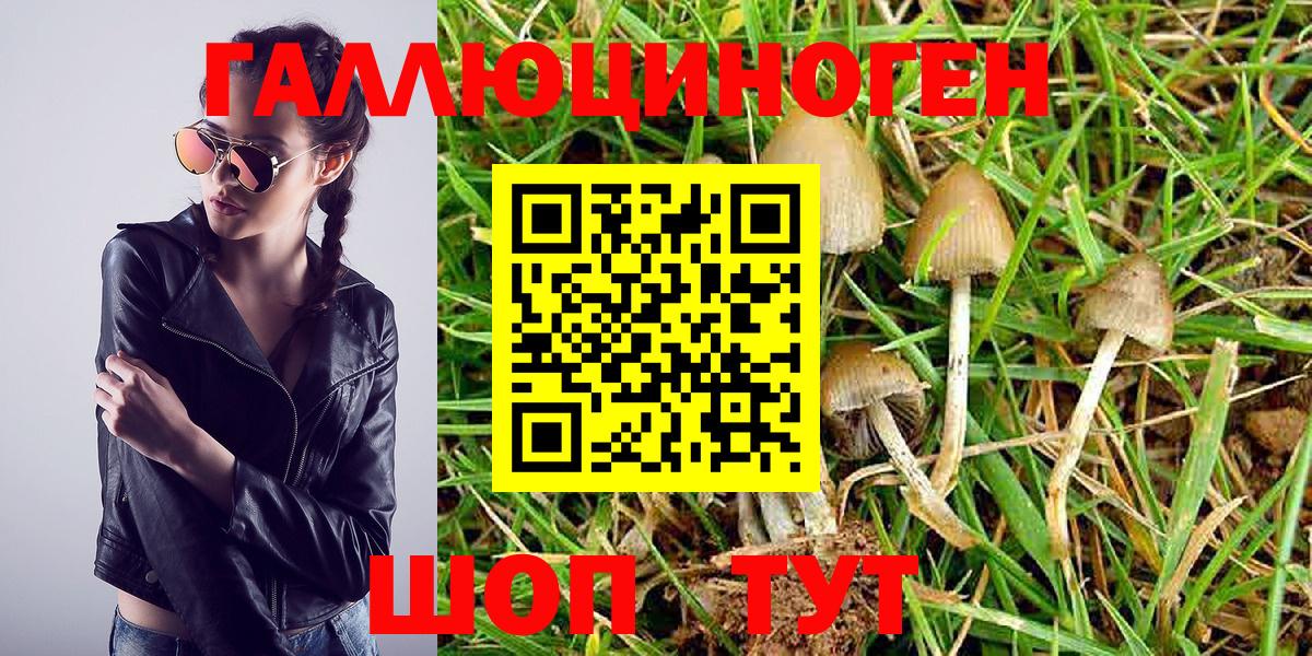 Галлюциногенные грибы Magic Shrooms  Вход с VPN  Зеленодольск 