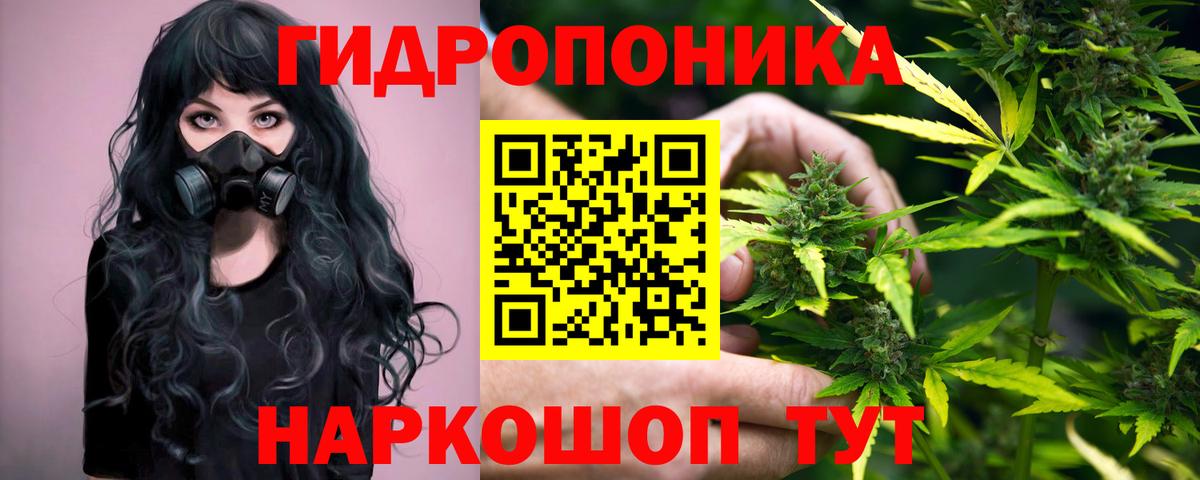 Бошки марихуана планчик  Бошки Шишки MAZAR  Зеленодольск  Бошки марихуана план  Вход с VPN 